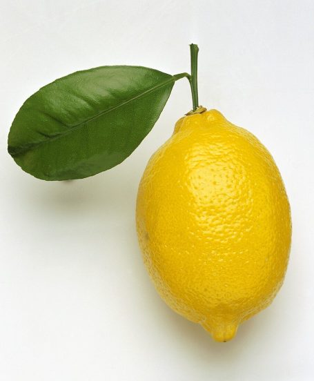 L'angolo di Alemon